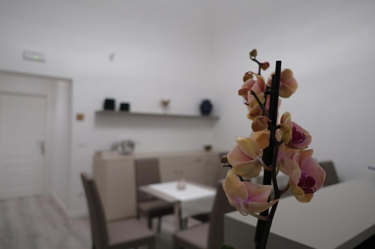 קטאניה Heart City Rooms מראה חיצוני תמונה